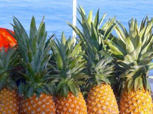 Pineapples cluster in a vendor's cart that plies the shore in Mexico's Rincon de Guayabitos. Beachgoers can purchase the sweet tropical fruit without leaving their spot on the sand. © Christina Stobbs, 2009