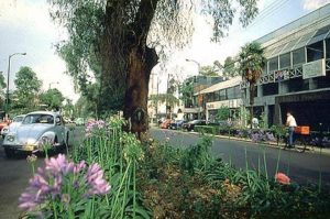 Avenida Presidente Masaryk, the new hot-bed of commercialism in Mexico City, lined with bistros, boutiques, and banks. Photography by Bill Begalke © 2001