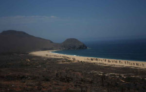 The beach at Todos Santos in Mexico's Baja California Sur is long and quiet, with palm trees springing up in the white sand. © Mariah Baumgartle, 2012
