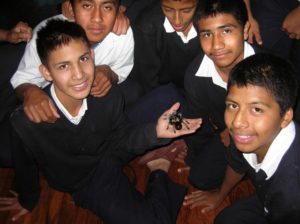 Boys examine a live tarantula close up during a talk by "Tarantula Man" Rodrigo Orozco. The young people are residents of Mexico's Villa de Los Niños near Guadalajara. © John Pint, 2012