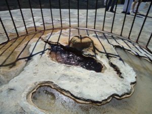 A bubbling mineral spring at Hierve el Agua in Oaxaca, Mexico © Alvin Starkman, 2012