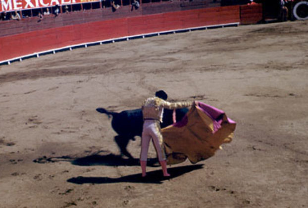 The excitement of the bullfight © Shep Lenchek, 1997