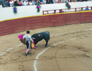 Bullfight © Larry Freeman, 2010