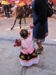 A burro captures the attention of a small girl in festive dress during Oaxaca's December 12 celebrations © Tara Lowry, 2014
