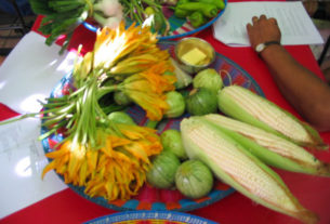 >Corn, squash blossoms and tomatillos, ingredients for the meal. Oaxaca cuisine is complex and delicious. © Alvin Starkman 2008