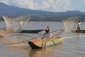 Fishermen from the Isla de Janitzio lure tourists with their demonstration of traditional fishing techniques with butterfly nets.