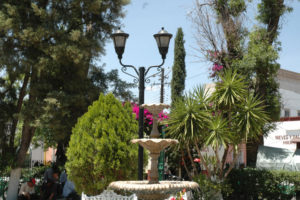 The gardens of Jerez provide an oasis of babbling fountains and shade trees.