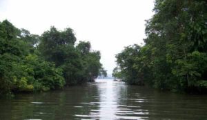 The channel to Sontecomapan Lagoon