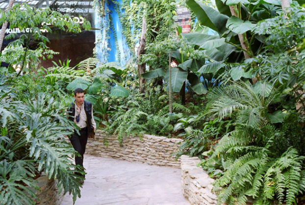 A man strolls through the primal beauty of the biodome at Museum of the Desert in Saltillo.