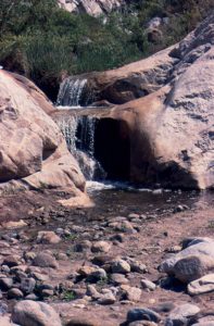 A refreshing arroyo in San Felipe, Baja California © Bruce F. Barber, 2012