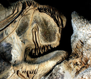 Bizarrely shaped formations keep cavers' imaginations occupied. This formation in la Cueva de la Palma in Jalisco resembles a cave cat in silhouette. © John Pint, 2010