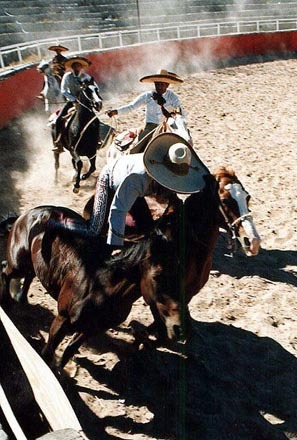 The Paseo de Muerte is considered the most breath-taking of Charreada events. Photography by Gilbert W. Kelner. © 2000