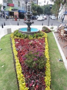 An urban flower garden at the Chilpancingo stop on the Mexico City metro line © Peter W. Davies, 2013