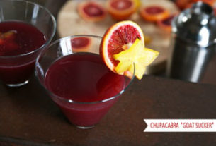 A delicious chupacabra martini, named for the infamous 'goatsucker' believed to roam Mexico. © Jeanine Thurston, 2011