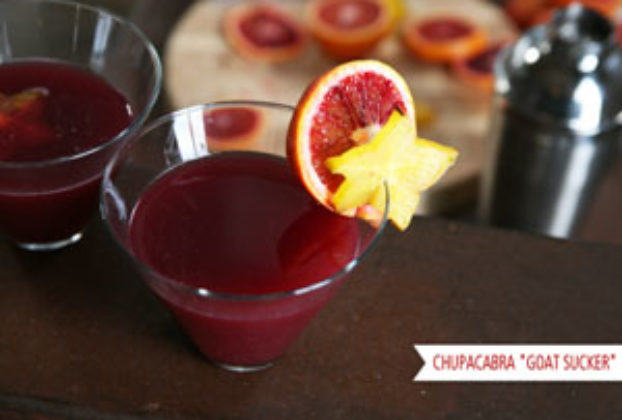 A delicious chupacabra martini, named for the infamous 'goatsucker' believed to roam Mexico. © Jeanine Thurston, 2011