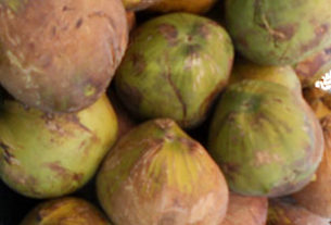 Coconuts heaped in a Mexico street stand © Sergio Wheeler, 2011