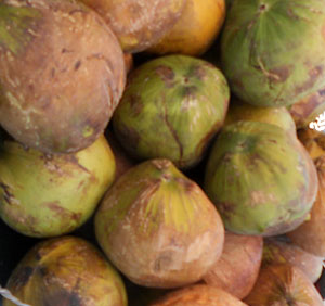 Coconuts heaped in a Mexico street stand © Sergio Wheeler, 2011
