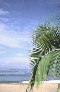 Barra de Navidad, Jalisco