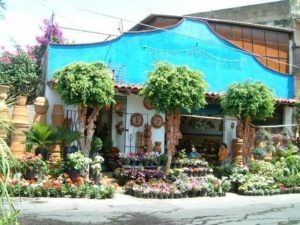 Very near the Salto de San Anton is this area specializing in commercial and residential landscaping. Much of the inventory is on display here on the Avenida de Salto. Cuernavaca, Morelos © Rick Meyer 2006