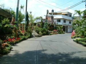 Very near the Salto de San Anton is this area specializing in commercial and residential landscaping. Much of the inventory is on display here on the Avenida de Salto. Cuernavaca, Morelos © Rick Meyer 2006