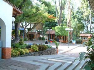 The Plaza Cuernavaca is a large shopping mall a bit off the path. Sears is here. Its success is doubtful since shops are hidden in a veritable maze. Cuernavaca, Morelos © Rick Meyer 2006