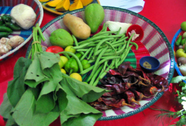 Dried chile guajillo, fresh vegetables and yierba santa leaves figure in Oaxaca's regional Mexican cuisine. © Alvin Starkman 2008