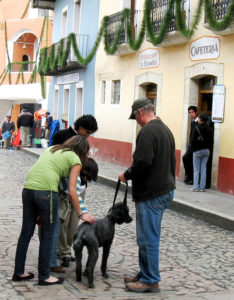 An experienced Mexico traveler, Milo makes friends wherever he goes. He and owner Bill WIlkinson find admirerers in Mineral del Monte, Hidalgo. © Jane Wilkinson, 2009