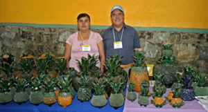 the pineapple pottery of Hilario Alejos Madrigal