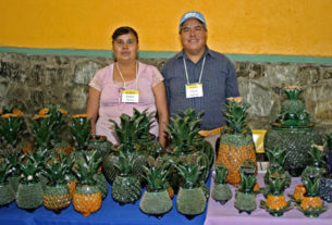 the pineapple pottery of Hilario Alejos Madrigal