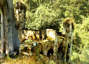 Stills were located at the lowest level of the old workings at the Taberna Tecuane. Water for cooling was brought from a nearby spring via an aqueduct. Located in the municipality of Amatitan, this place in Mexico may have been the birthplace of tequila. © John Pint, 2010