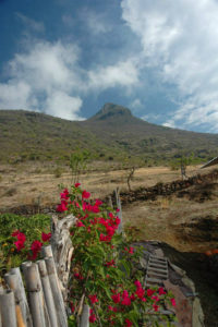 El Picacho peak beyond the garden fence. Bright bougainvillea climbs the fence, clinging to bamboo stakes. Oaxaca's scenery is majestic. © Norma Hawthorne 2008
