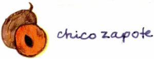 Native to the Yucatan and southern Mexico, the chicozapote has a rough brown skin and dark, sweet pulpy fruit. — El chicozapote es nativo de Yucatán y el sur de México. La pequeña fruta tiene forma oval, una piel áspera de color café, y una carne pulposa y dulce.