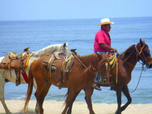 Set in a palm-fringed bay, the beach of Lo de Marcos is popular for horseback riding- Mexico's Nayarit Riviera has a series of extraordinary beaches. © Christina Stobbs, 2009