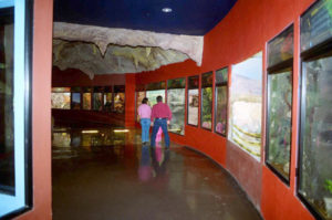 A broad hallway takes visitors passed the numerous exhibits of the herpetarium of the Museum of the Desert in Saltillo.