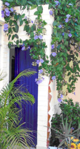 Thunbergia vines surround a door in.a Mazatlan, Mexico home. © Linda Abbott Trapp 2007