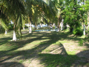 A swimming pool beneath the palms invites visitors to the Ci Ci Campground. It's a perfect camping spot on the Costa Esmeralda of Veracruz in Mexico. © William B. Kaliher, 2010