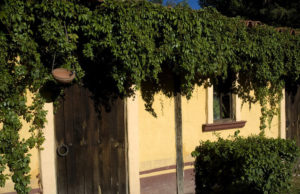 The facade of this old building at Jalisco's Hacienda El Carmen now hides the garage where guests' cars are parked. © John Pint, 2011