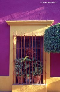 Plants adorn the window of a house in Old Mazatlán.