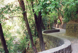 The trail meanders, creeps, slithers, and slides through the park, snaking through through the jungle past the rushing river.