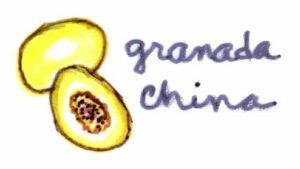 The granada china or golden passion fruit is much prized by aficionados, who call it 'the caviar of fruits.' — La granada china es muy apreciada por los aficionados, quienes la llaman 'el caviar de las frutas'.
