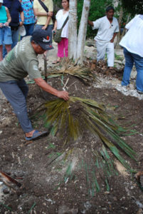 As part of the Day of the Dead ceremonies in Pac Chen, pork is cooked overnight in an underground oven, or pib. The village shaman performs a ceremony as the food is uncovered. Pac Chen is a traditional Maya village off the beaten tourist track. © Jane Ammeson, 2009