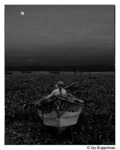 © Jay Koppelman, 2010