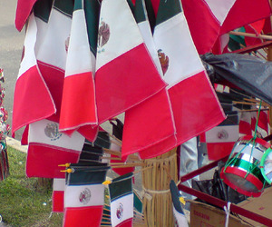 Mexican flags for Independence Day celebrations — el 16 de septiembr © Daniel Wheeler, 2009