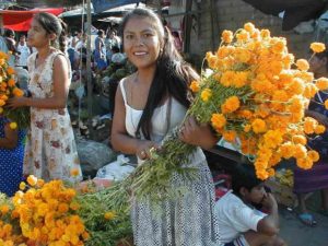 Fresh flowers are sold everywhere for 50 cents a bunch