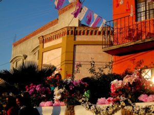 Flowers bloom along the procession rroute in the Good Friday rituals in San Miguel de Allende © Edythe Anstey Hanen, 2013