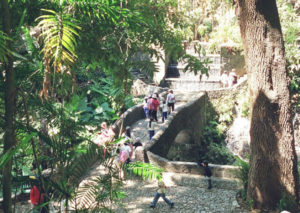 The trail frequently crosses the river, taking visitors through a wealth of experiences in the park.