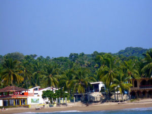 Palm trees sway in the wind, egrets play in the waves, and pelicans, frigate birds, and vultures hang out with the fisherman at the main entrance to the beach at La Peñita de Jaltemba on Mexico's Nayarit Riviera. © Christina Stobbs, 2009