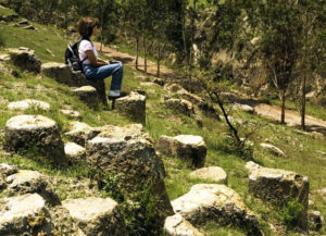 Strange rock formations abound near the town of Tala, Jalisco. These look much like tree trunks and have been named the Fairy Footstools. © John Pint, 2009