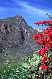 Mount La Bufa is a distinctive landmark in the Copper Canyon of Mexico. It reminded me of an ice cream sundae © Geri Anderson 2001.