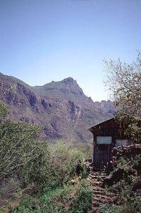 The hillsides near La Bufa in the Copper canyon of Mexico are scattered with open mine shafts and rustic miners' cabins such as this one. © Geri Anderson 2001.
